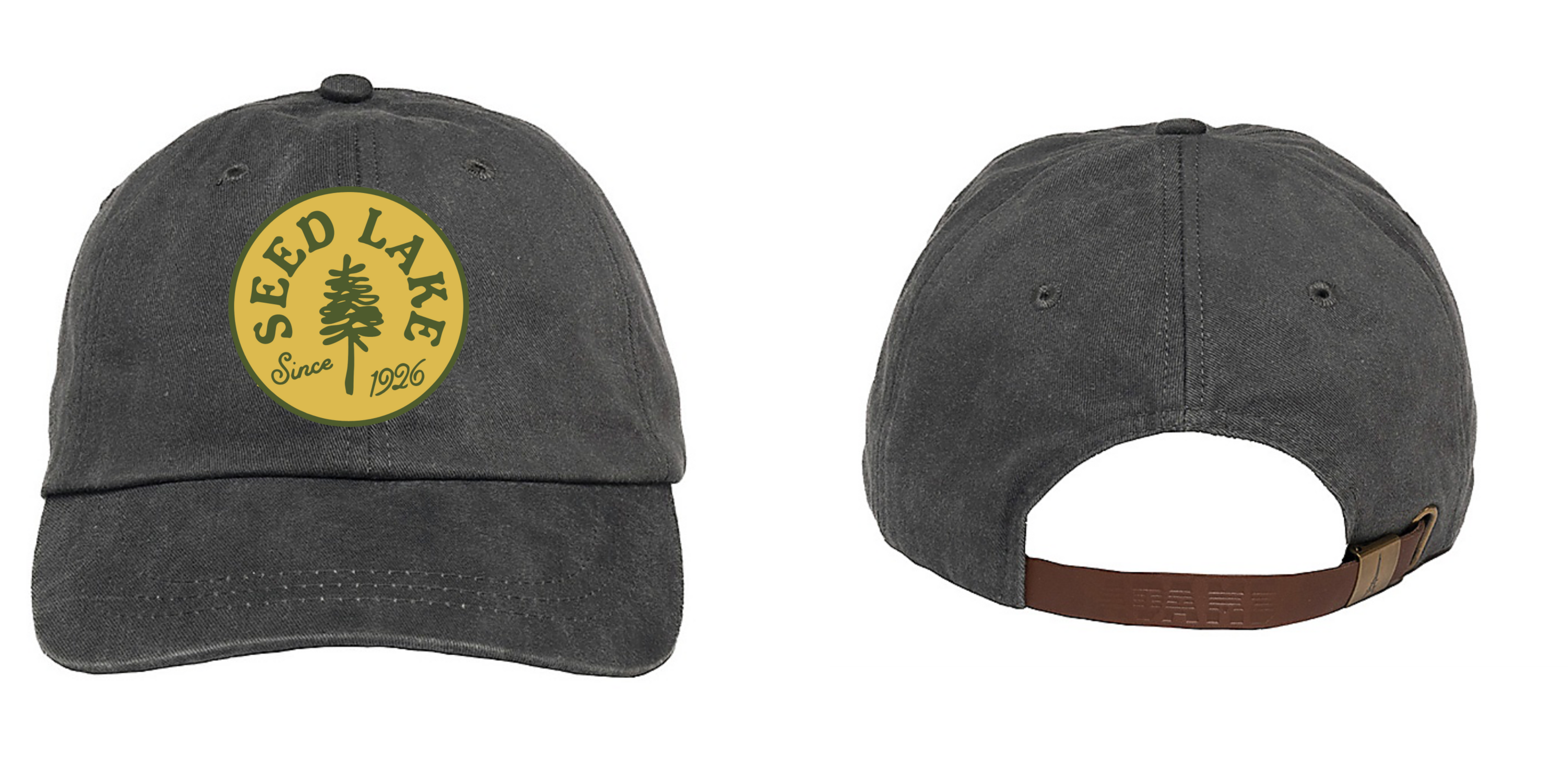 Dad hat with logo