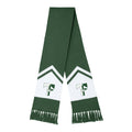 TFS - Scarf 2