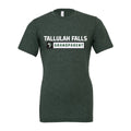 TFS - Tallulah Falls Grandparent